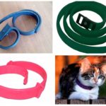Flea nyakörvek macskáknak értékelések mivel és hogyan kell választani