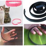 Flea nyakörvek macskáknak értékelések mivel és hogyan kell választani