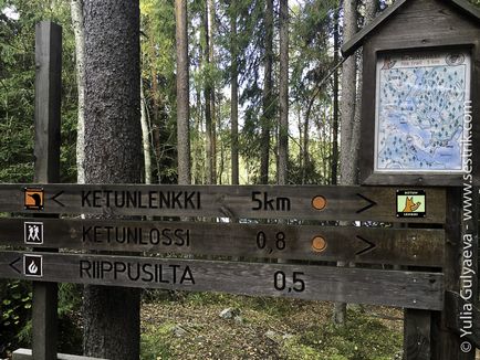 Park Repovesi Finnország gyik és a személyes tapasztalat