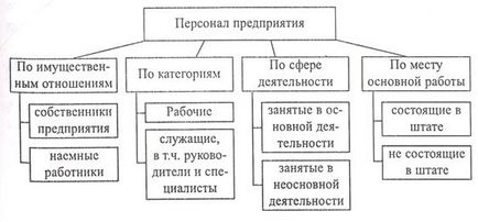 A személyzet a szervezet célja és tárgya menedzsment (szervezet) A személyzet a szervezet célja és tárgya menedzsment