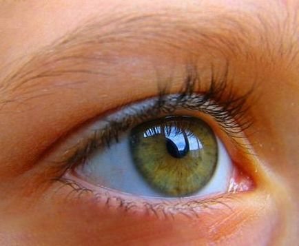 Miért Megrándulnak alsó szemhéj a bal szem okok és a kezelés
