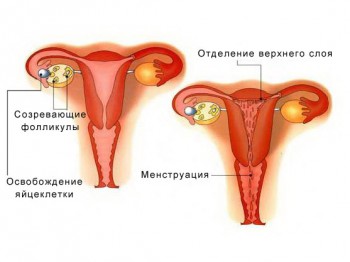 Miért nem megy ki a vérrögök a menstruáció alatt