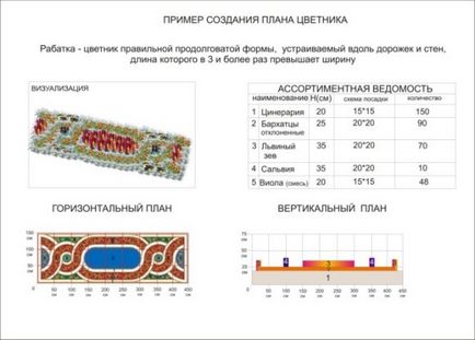 Rabatki - élő dekoráció, a legjobb dekoráció a kertben! Fényképek, videók diagram (dekoráció) Rabatki - élő dekoráció, a legjobb dekoráció a kertben! Fotó, videó, áramköri