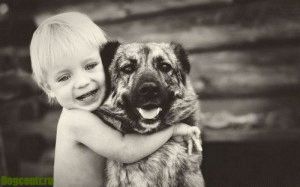 A kutya mindig is volt és lesz a legjobb barátja az ember