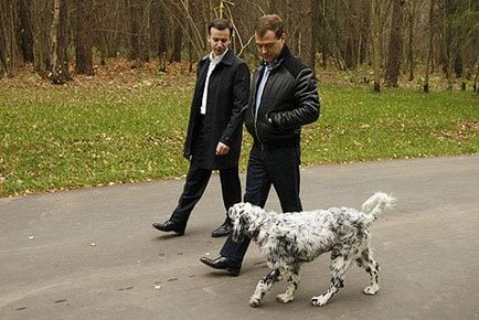 elnökök Dogs
