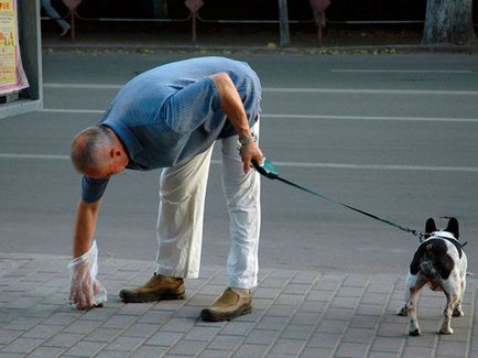 Tenyésztők, miért ne tisztítsa a széklet a kutyák az utcán