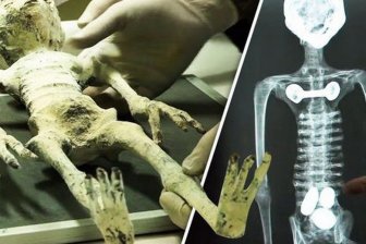 Ufológus egy katalógust rejtélyes tárgyak, amik közel a nap (UFO) Ufológus egy katalógust rejtélyes tárgyak, amik közel a nap