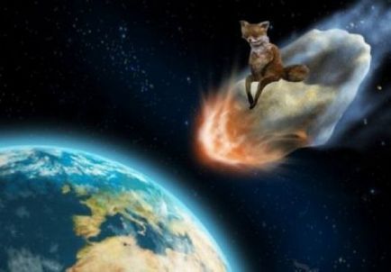 Uporotyh Fox „- az első palacsinta nem csomós (uporotyh) Uporotyh Fox „- az első palacsinta nem tarja
