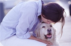 A kutya szemébe megsavanyodik és kelés fő oka, és hogyan kell kezelni otthon