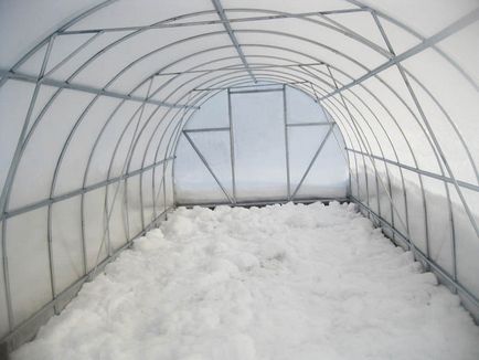 Növekvő uborka télen a talaj-előkészítés, a technológia, fajták, ültetés és gondozás