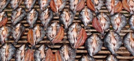 Szárított hal - recepteket, mint a bunkó hal a sütőben vagy a hűtőház és otthon