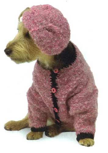 Kötöttáru kutyák és hogyan kell kötni egy pulóvert, kabátot, vagy hozza a régi