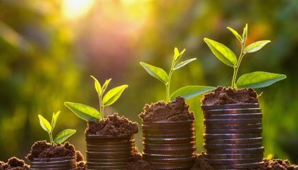 Összeesküvés hasznot hogyan vonzza (Statement) Összeesküvés a profit, hogyan vonzzák