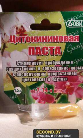 Élő kövek vagy Lithops - gondozás és öntözés (gondoskodó) Élő kövek vagy Lithops - gondozás és öntözés