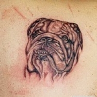 Jelentés tetoválás kutya