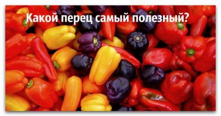 Milyen hasznos bolgár paprika