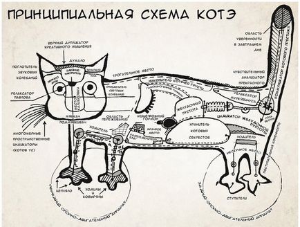 Hol van a macska, hogy Hol van a macska, hogy