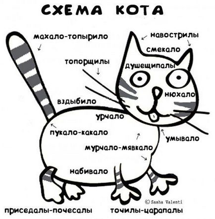 Hol van a macska, hogy Hol van a macska, hogy