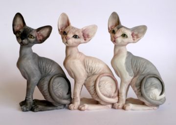 Szfinx macska fajták