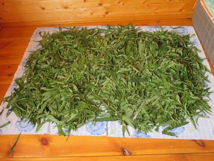Hogyan készüljünk tea fűzfa tea Hogyan készüljünk tea fűzfa tea