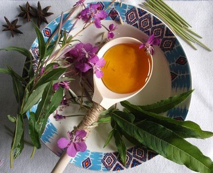Hogyan készüljünk tea fűzfa tea Hogyan készüljünk tea fűzfa tea