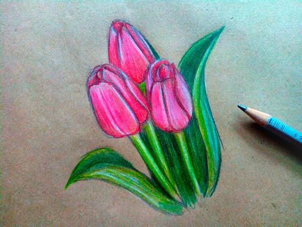 Hogyan kell felhívni a tulipán virág Hogyan kell felhívni a tulipán virág