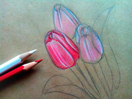 Hogyan kell felhívni a tulipán virág Hogyan kell felhívni a tulipán virág