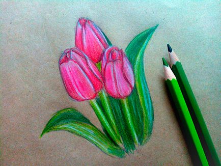 Hogyan kell felhívni a tulipán virág Hogyan kell felhívni a tulipán virág
