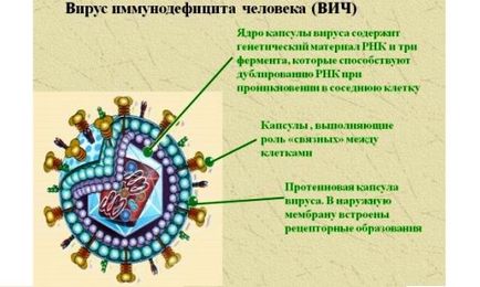 Mi a teendő, ha a HIV