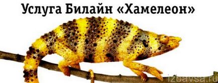 Hogyan lehet letiltani egy kaméleon mts Hogyan lehet letiltani egy kaméleon mts