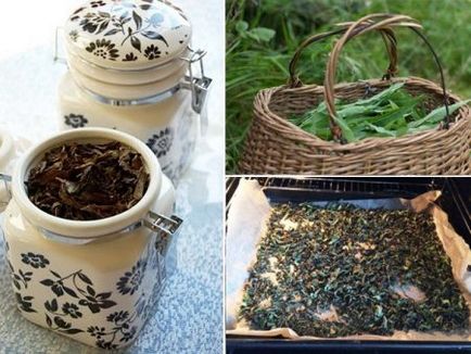 Hogyan készüljünk tea fűzfa tea