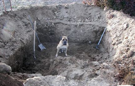 Hogyan ásni egy pince