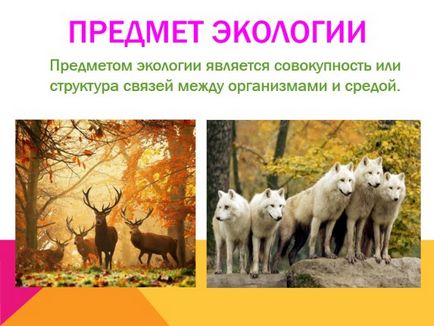 Mi ökológia bemutatása Mi ökológia bemutatása