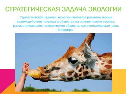 Mi ökológia bemutatása Mi ökológia bemutatása
