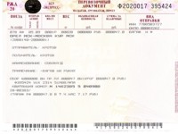 Ticket kutyáknak Ticket kutyáknak