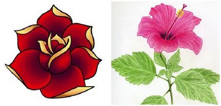 Hogyan rajzoljunk egy váza virág