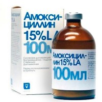 Amoxicillin háziállatoknak - használati utasítás