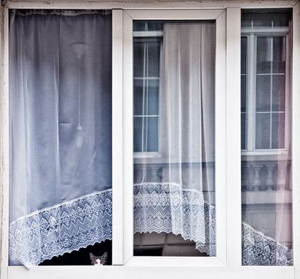 Macskák az ablak (31 fotó)