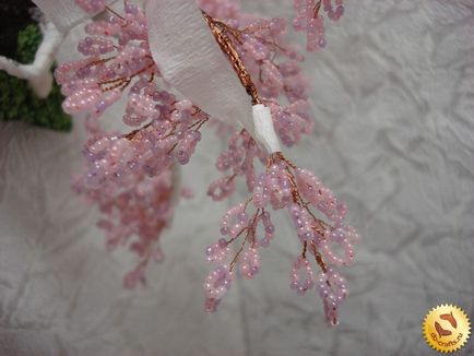 Sakura gyöngy kezével, a mester osztályt kezdők, szövés lépésről lépésre fotók