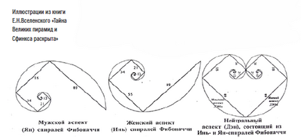Fibonacci-spirál - X óra (Fibonacci) Fibonacci-spirál - X óra