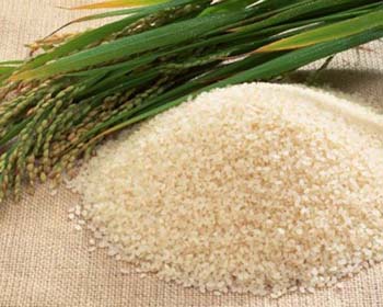 Típusai, előnyei és hátrányai rizs