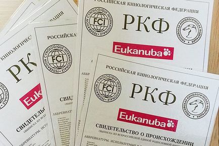 Fajkutya, mi ez Fajkutya, mi ez