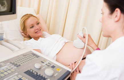 Hogyan érzékeli a terhesség a terhesség korai szakaszában
