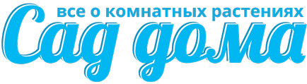 Tenyésztési orchideák otthon Tenyésztési orchideák otthon