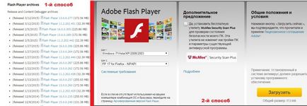 Hogyan kell telepíteni a Flash plugin Hogyan kell telepíteni a Flash plugin