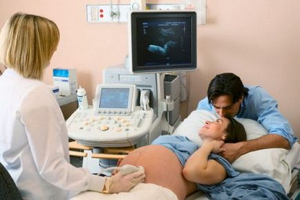 Hogyan érzékeli a terhesség a terhesség korai szakaszában