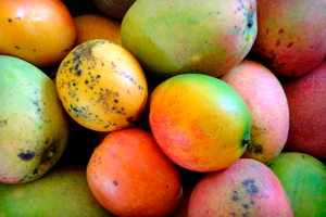 Milyen hasznos mangó