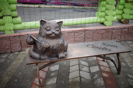 Kazan macska