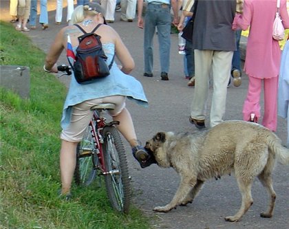 A folyamat horzsolások gyermek