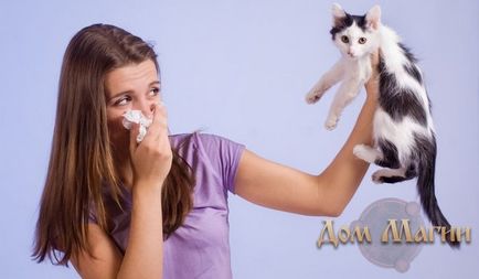 Összeesküvések allergia ellen